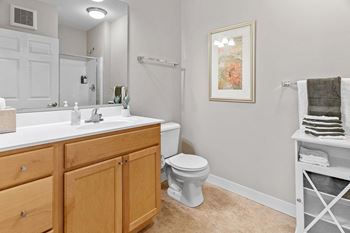 a bathroom with a sink toilet and a mirror
